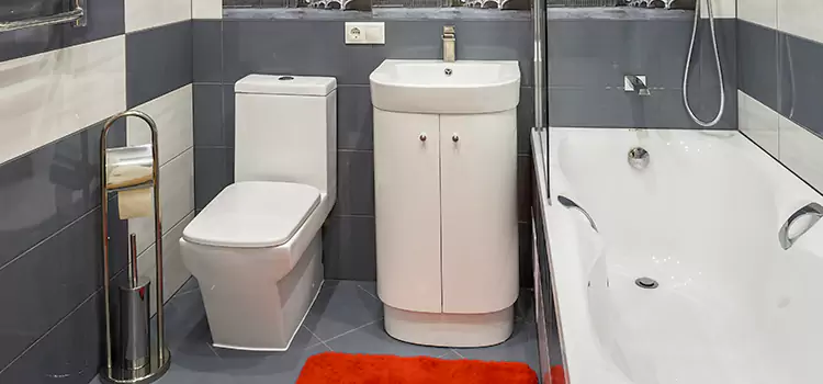 Hansgrohe Shaving Mirror West Carson